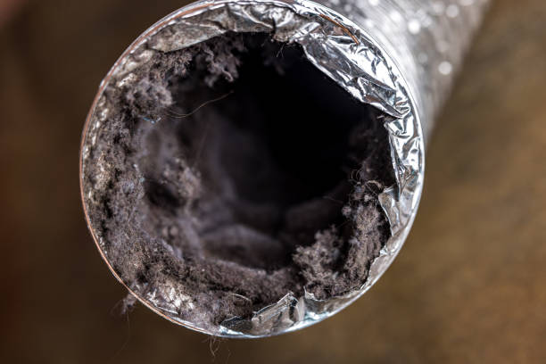 Best Air Duct Sanitizing Services  in Union, SC